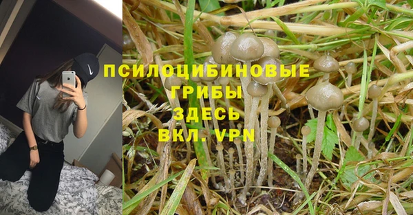 гидра Краснотурьинск