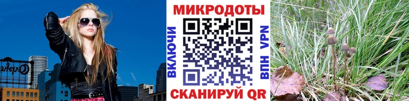 Псилоцибиновые грибы GOLDEN TEACHER  Черепаново 